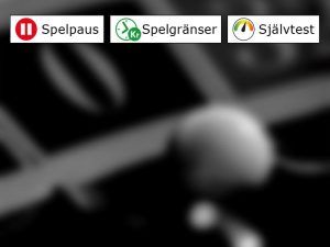 Spelpaus, spelgränser och självtest